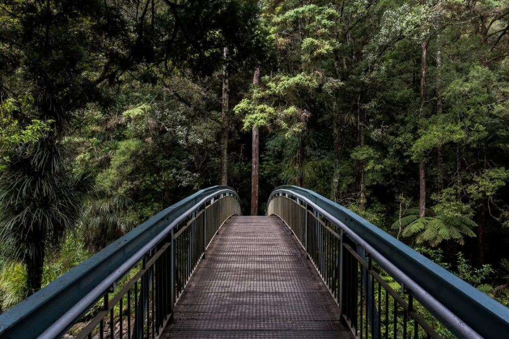 Spending time in nature enhances well-being.